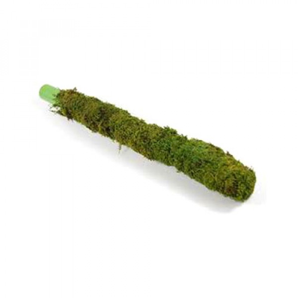 Moss Stick (3Feet)